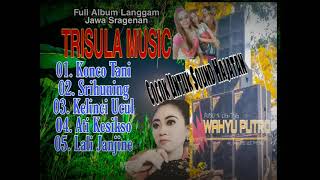 Download Mp3 Full Album Langgam Jawa Sragenan Cocok diputar saat Cek sound di hajatan Gudang lagu Download Mp3 Full Album Langgam Jawa Sragenan Cocok diputar saat Cek sound di hajatan