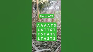 Observation Visual Test: 5 Seconds ForYou To Spot LAST. Try Your Skills! #search #puzzle #shorts