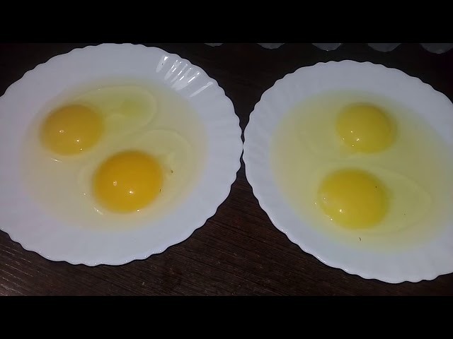 как отличить домашние яйца от магазинных