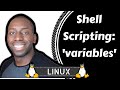 Linux  shell scripting variables