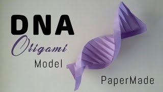 DNA Structure model using paper | Easy | PaperMade