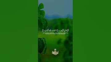 سورة الفاتحة بأسلوب مهيب