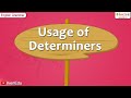Understanding Determiners