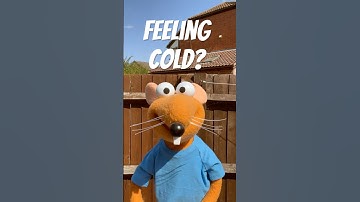 ‘Lucky Feeling Cold!’ - Puppet Video by Lee Thompson #puppets #funny #joke #puppetry #puppeteer