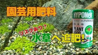 水草水槽 4 園芸用肥料を水草へ追肥してみた Youtube