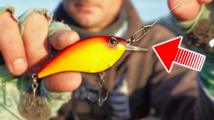 Our Top 5 Favorite Flat Sided Crankbaits To Catch More Fish In The