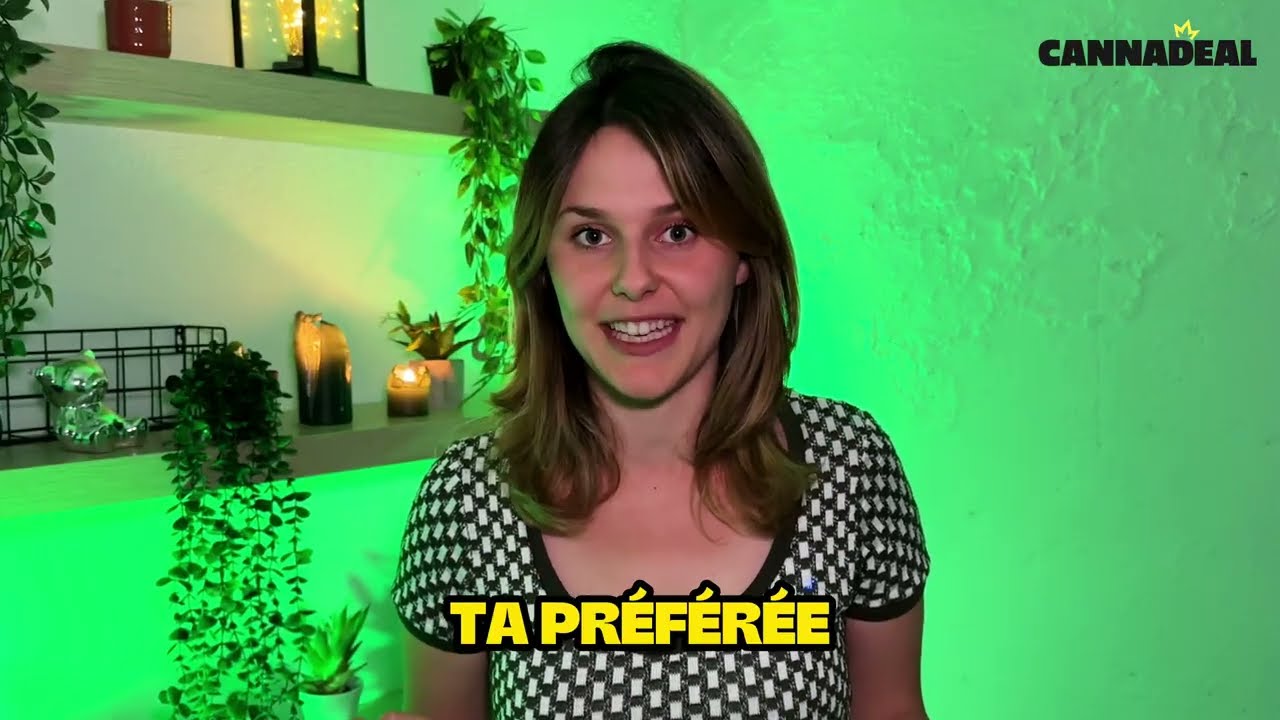 Fleurs de CBD | Tout ce que vous devez savoir avant d'acheter !