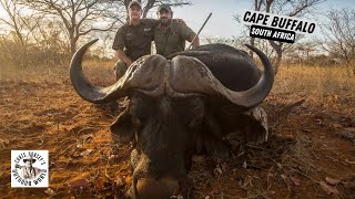 Cape Buffalo Charges in Amazing Finish to South African Hunt!