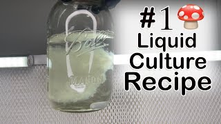 My New Favorite Liquid Culture Recipe for Growing Mushrooms