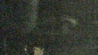 バイク盗難(モンキー)in静岡県三島市