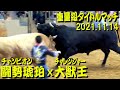 闘勢琥珀x大獣王 2021.11.14(重量級タイトルマッチ) 【沖縄闘牛大会にて】