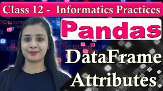 Pandas DataFrame - Attributes | CBSE Class 12 - IP | Lovejeet Arora