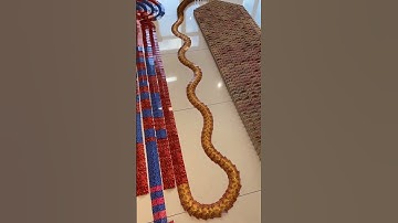 Watch till end|Last mein surprise h|Domino Card latest short #shorts #youtubeshorts #dynamo magician