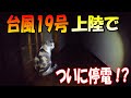台風19号上陸でついに停電!雨風のピークに猫達は!?