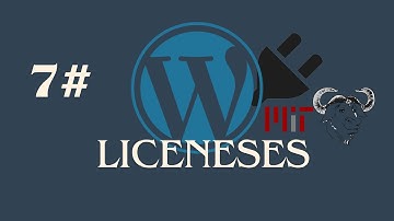 Custom WordPress Plugin - #7 Licenses
