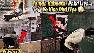 SETUP बनाते - बनाते Tamda 🕊️ Kabootar Pkdd Liya 😜