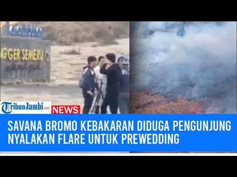 Savana Bromo kebakaran lagi diduga Pengunjung Nyalakan Flare untuk Prewedding