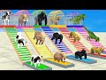 Dont choose the wrong baby with long slide elephant cow tiger gorilla wild animals cage game