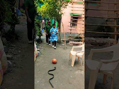 Garena Free Fire Sent A Nokol Bel Sneak 4 To My House For Brother Shorts Funny Comedy