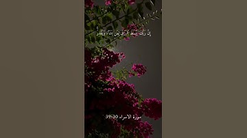 ايات الحفظ  للسادس العلمي من سورة الاسراء 30-39 بصوت عبد الرحمن حسن #سورة_الإسراء