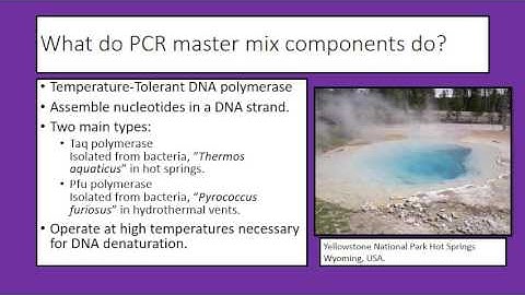 PCR Master Mix Video