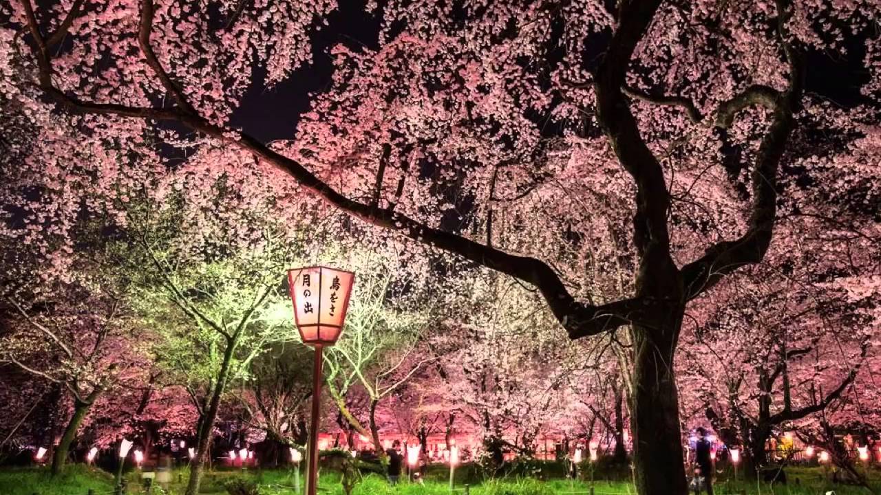 Remembrance - All is wild, All is silent