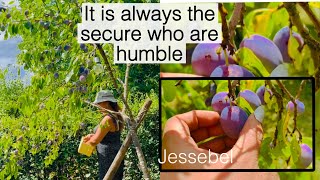 It is always the secure who are humble, i thank you lord for everything.