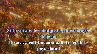 Suivre le soleil - Vanille (karaoke)