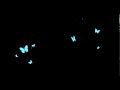 Butterfly overlay 2d animation (FREE)