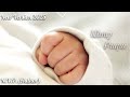 N.V.P.- Anush Bala (Author) New Version 2025