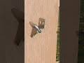 Automatic latch for swing gates. #gate #diy