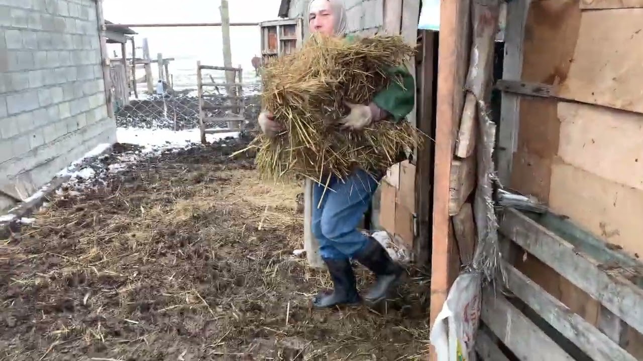 Дагестан тяжелая жизнь в селе на Кавказе