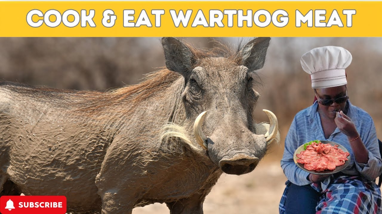 Cooking Warthog Meat | Exploring the taste of wild pig | South Africa Village Delicacy