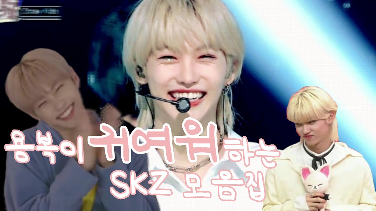 [스트레이키즈/필릭스] 용복이 귀여워하는 스키즈 모음집