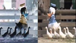 Evil Exploding Duck Brigade Vs. Exploding Duck Brigade