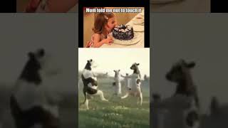 i will do it my way #shorts #memes