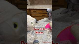 I didn't want to dance with this mummy, but she insisted. #fallintoshorts