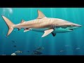 ikan dan binatang laut, fish and seaworld