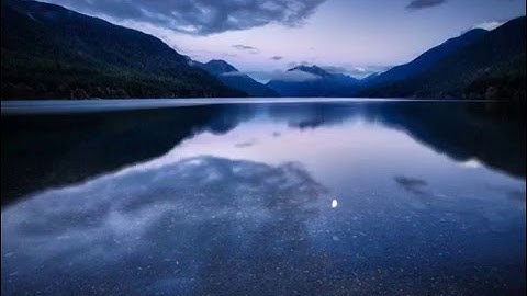 الشيخ بندر بليله - سوره القيامه