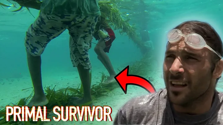 Fishing With Vines In Solomon Islands!  | Primal S...