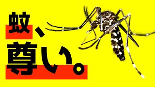 蚊に優しくなれる動画です。【蚊の生態】