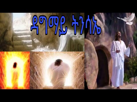 ቪዲዮ: የዳግም ሰርጥ ማለት ምን ማለት ነው?