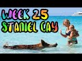 BAHAMAS!! Swimming Pigs and Hammerhead Sharks!! /// WEEK 25 : Staniel Cay and Bimini, Bahamas