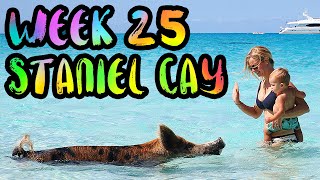 BAHAMAS!! Swimming Pigs and Hammerhead Sharks!! /// WEEK 25 : Staniel Cay and Bimini