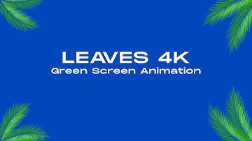 Animating Leaves: The Art of Ultra-Realistic Motion Graphics