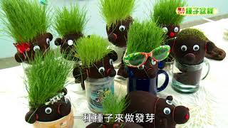 種子盆栽DIY教學 - 草頭寶寶材料準備