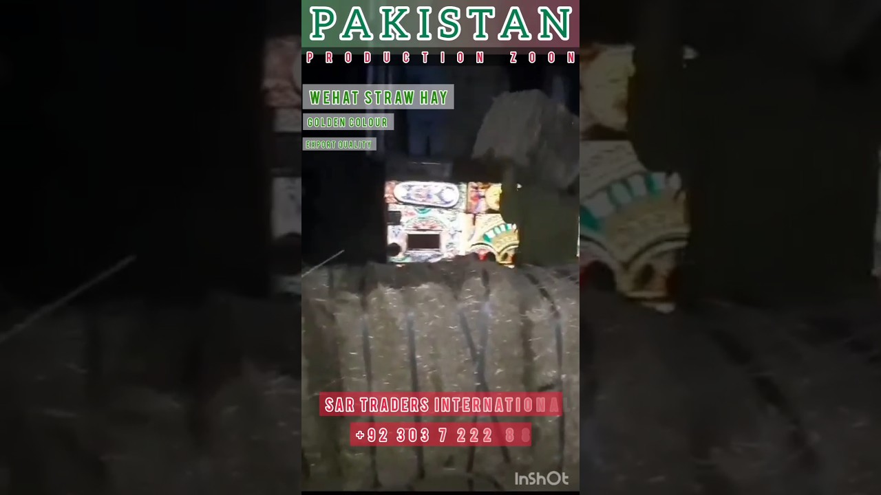 Wheat Straw Hay | Production House of animals Feed | Export Quality | Sar traders International 