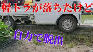 軽トラが田んぼに落ちたけど一人で脱出