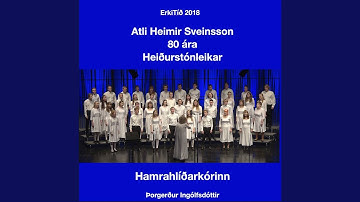 SNERT HÖRPU MÍNA – KVÆÐIÐ UM FUGLANA (Live)