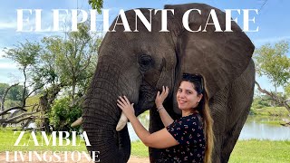 The Elephant Cafe | Livingstone Zambia